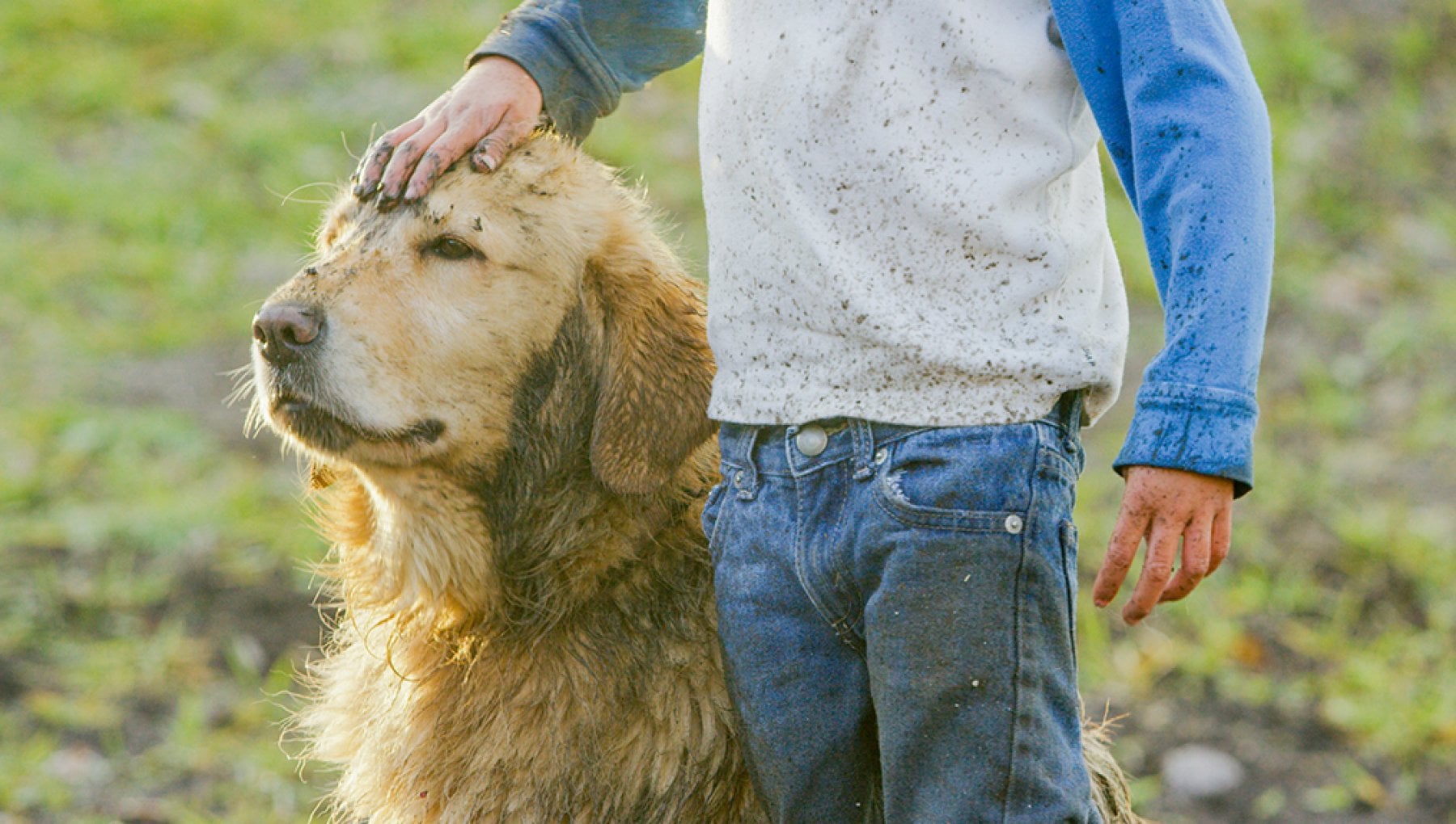 Borsa A Tracolla Con Stampa Cane Vagabondo: Leggera
