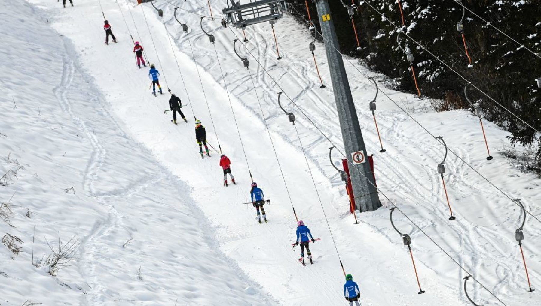 Neve Artificiale Decorativa - 100g Di Polvere Magica Per Alberi Di Natale E Decorazioni Invernali