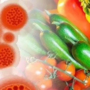 La "nutrizione positiva" che rafforza il sistema immunitario