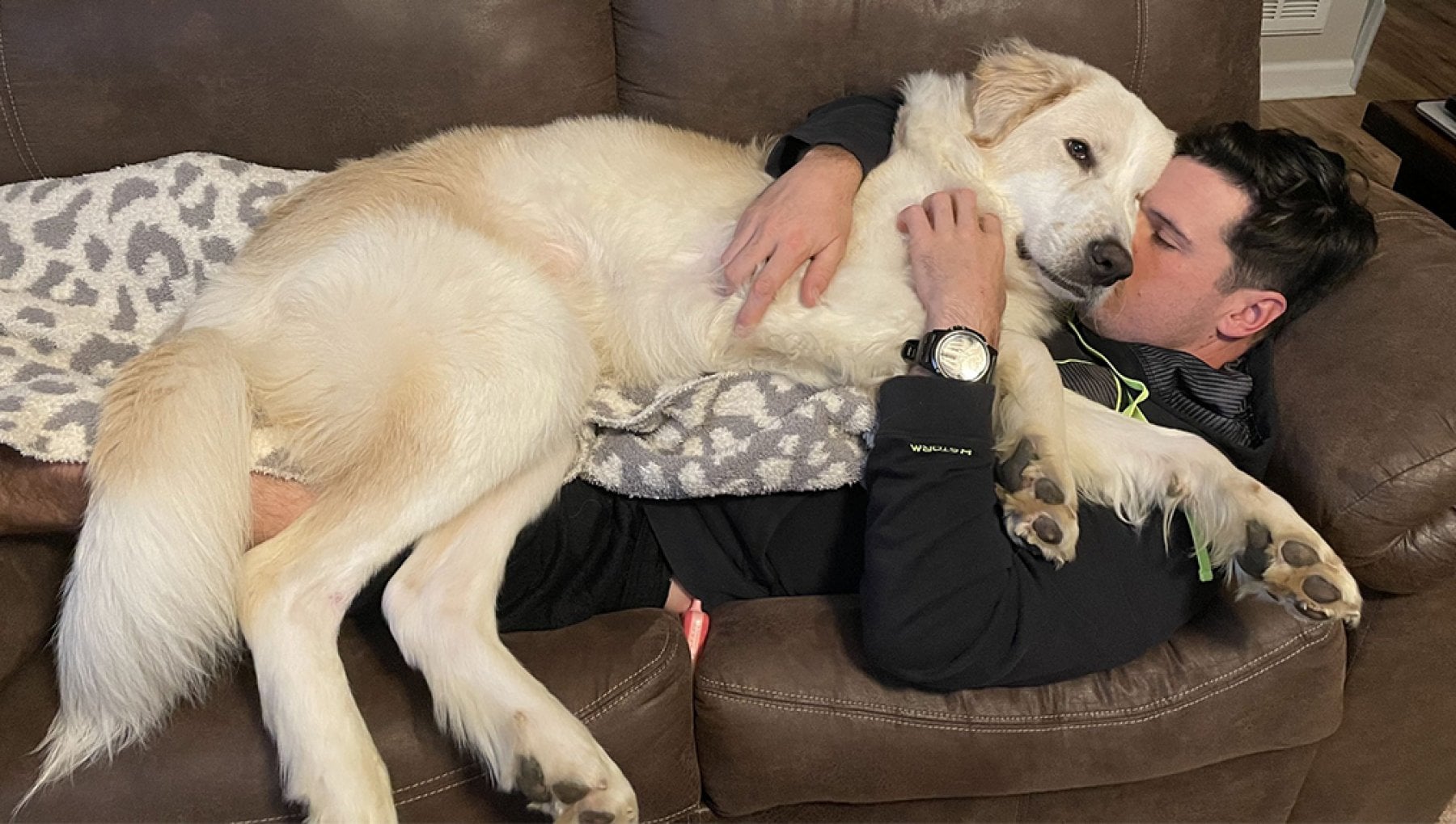 Dopo 14 adozioni fallite, il cane Ronald ha finalmente trovato una casa ...