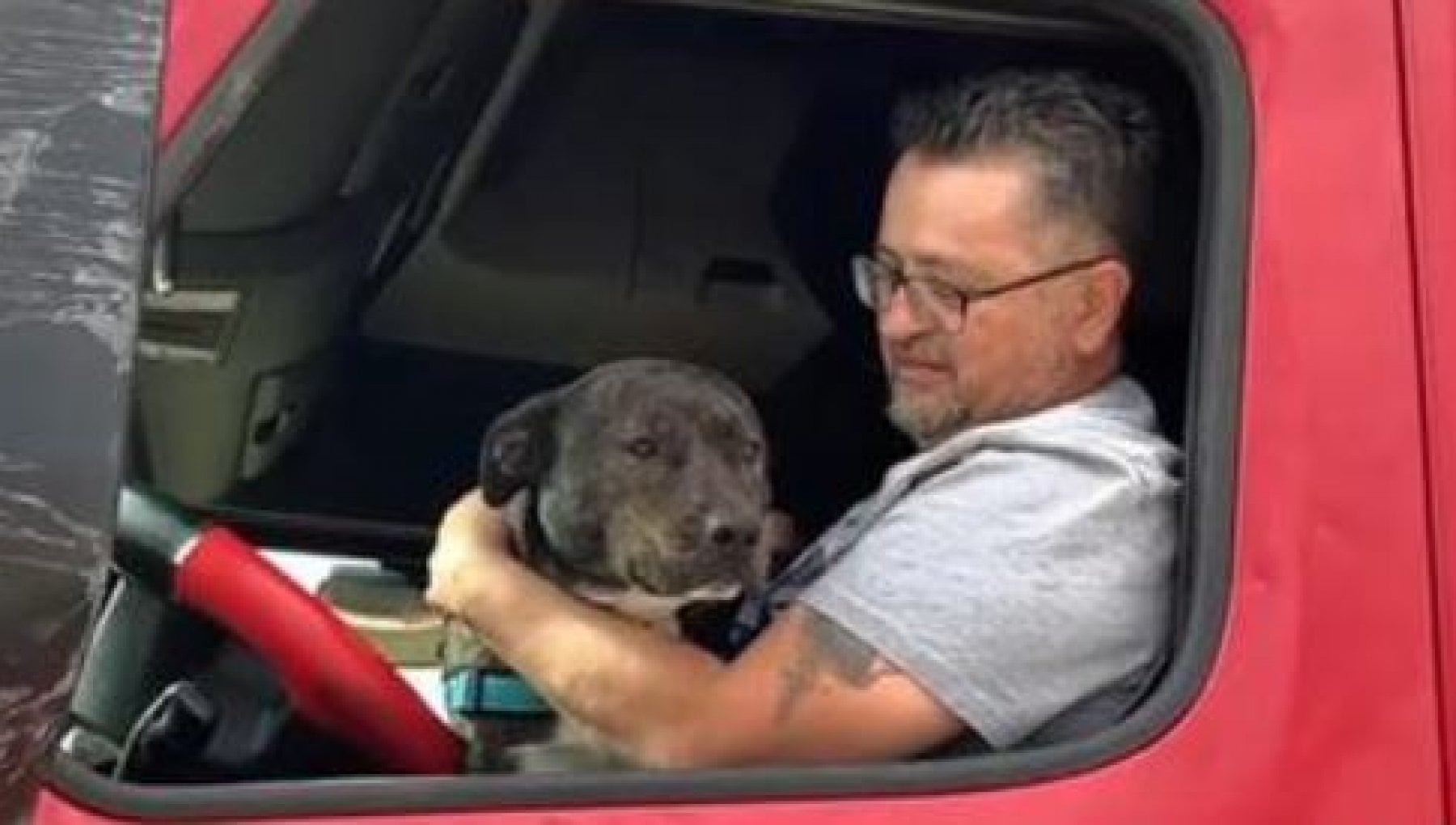 Picchetto d'onore per Major, il cane salvato dall'eutanasia e adottato ...
