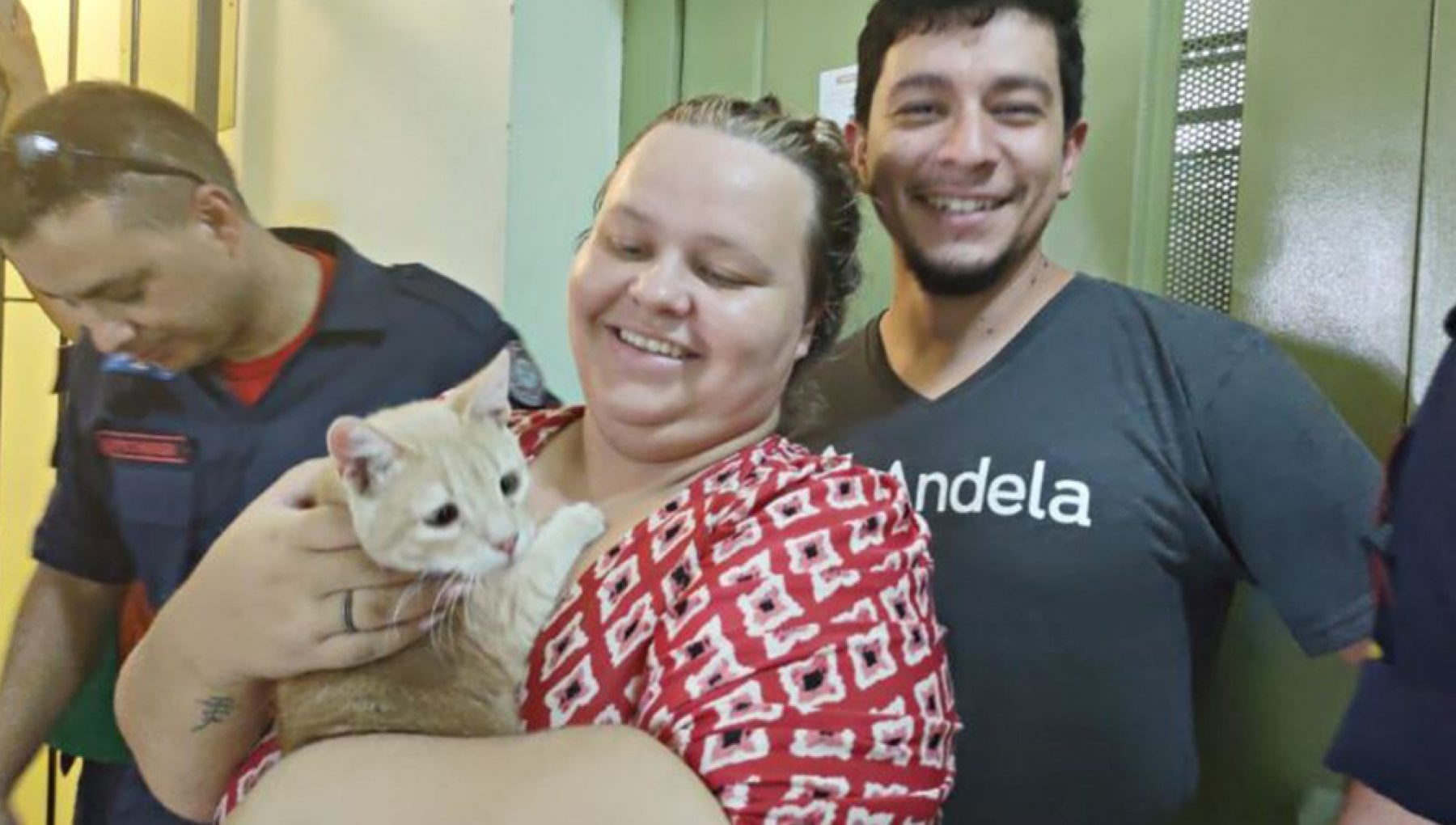 Il salvataggio di Vesgo, il gatto finito nel camino di un palazzo - La ...