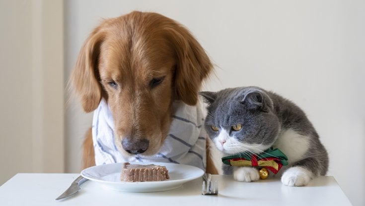 Sacco Porta Biancheria per Animali Domestici 65 * 70cm Pet Lavanderia Isolare i Peli di Animali Domestici, Impedisce Bloccare la Lavatrice Ideale per Cani Gatti