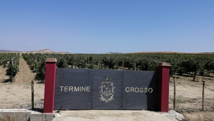 L'ingresso della tenuta Termine Grosso