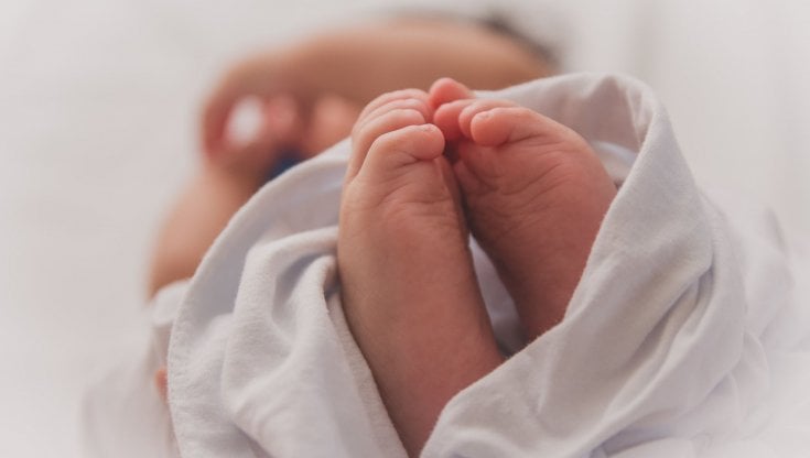 (Foto di Luma Pimentel su Unsplash)