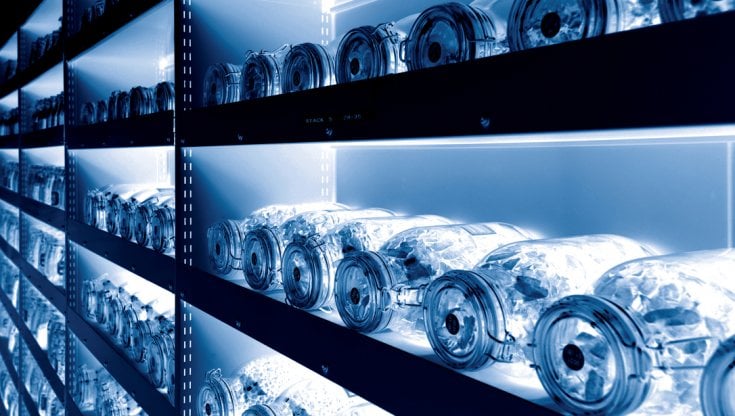 L'interno della Millennium Seed Bank