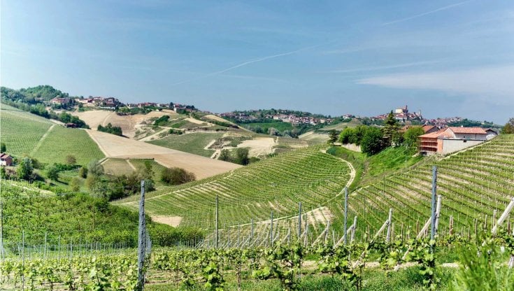 Il fascino dei vigneti nel Roero