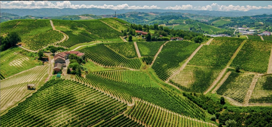 Le colline dell'azienda Pace