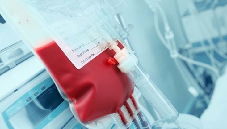 Beta-talassemia: pazienti promuovono qualità delle cure, ma temono le trasfusioni di sangue d’estate 
