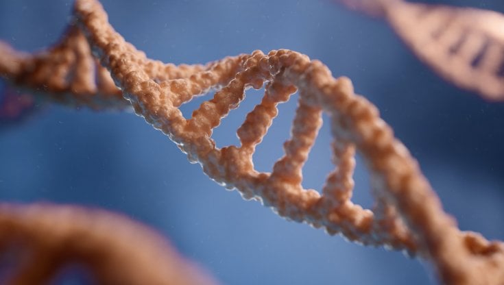 Foto: THAVIS 3D/Unsplash
