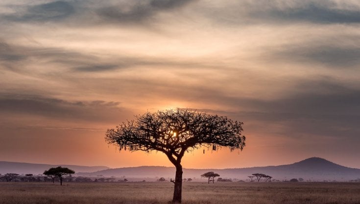 (Foto di Hu Chen su Unsplash)