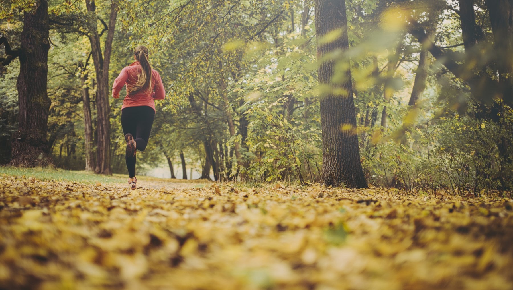 The Impact Of Moderate Physical Exercise On Intestinal Health