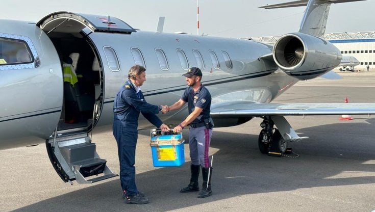 L'arrivo del terzo rene all'aeroporto di Linate