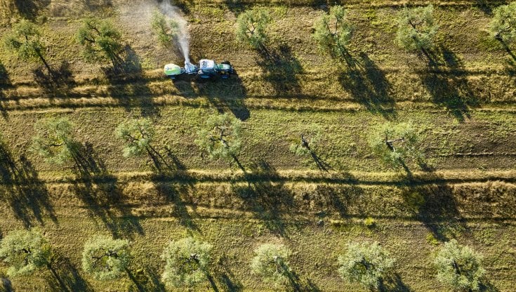 Efsa: il glifosato non preoccupa per la salute, ma non tutti gli usi sono uguali
