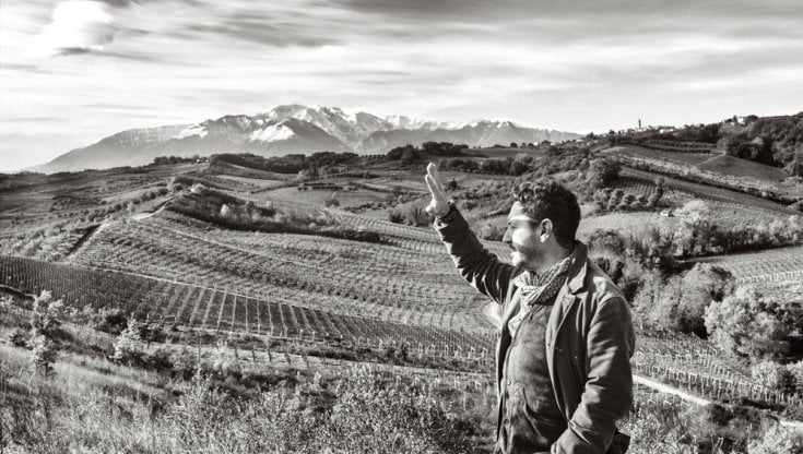 L'energia positiva del vigneto Di Carlo