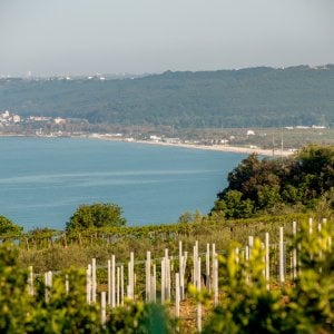 Viaggio nell'Abruzzo naturale e spumeggiante: 11 sorsi dalla costa al Gran Sasso  