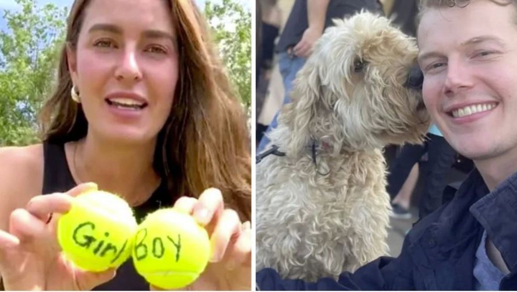 Maschio o femmina? Una coppia fa decidere al suo cane Charlie il sesso del  nascituro - la Repubblica