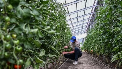 Cdp Venture Capital lancia il polo di trasferiment &hellip;