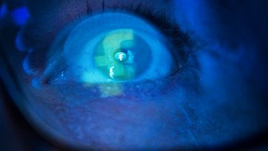 Contrordine: gli algoritmi di Facebook e Instagram &hellip;