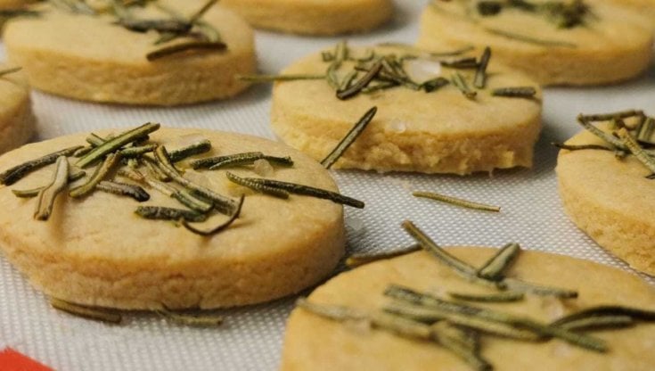 Bistorti - Produzioni imperfette: a Udine la pasticceria che impiega e aiuta i disabili