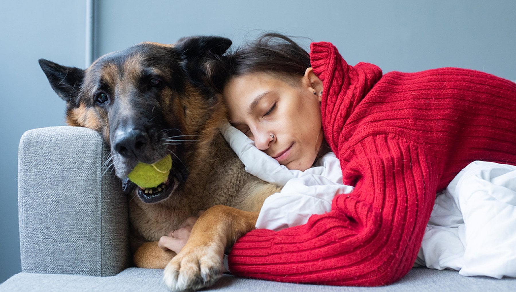 Il cane Rex gioca a fare il poliziotto e scopre l’amante del marito ...
