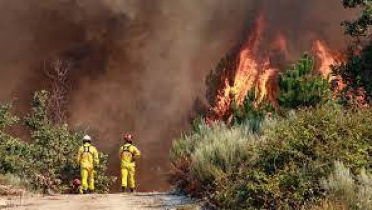Gli incendi devastano il Portogallo stremato dall'ondata di calore