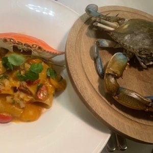 Ma che sapore ha il granchio blu? L'assaggio del Gusto
