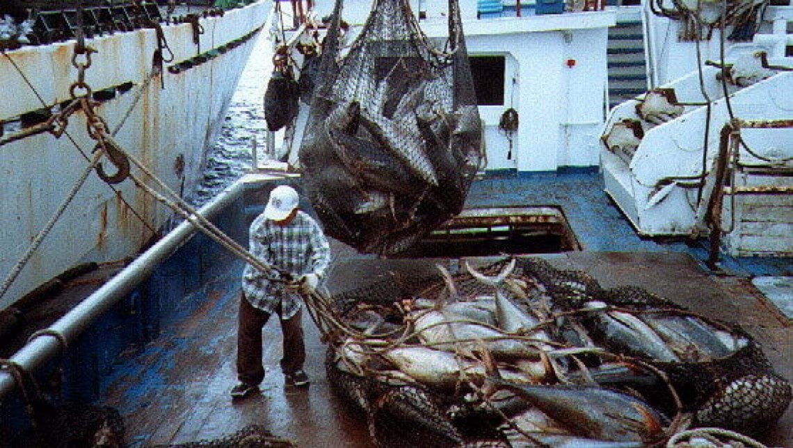 Pesca nell'oceano Pacifico