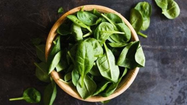 Ricchi di acido folico, ottimi per la circolazione e in gravidanza: tutte le proprietà degli spinaci