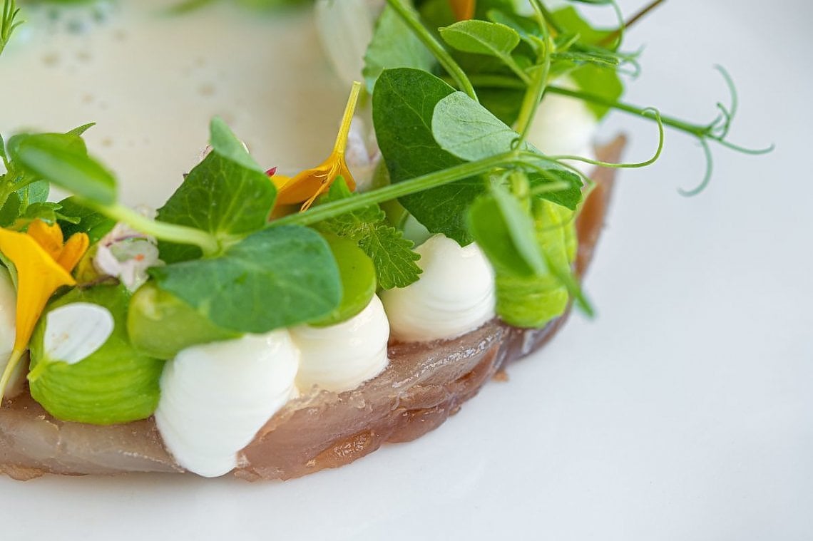 Sgombro, piselli, yogurt e salsa al pepe verde