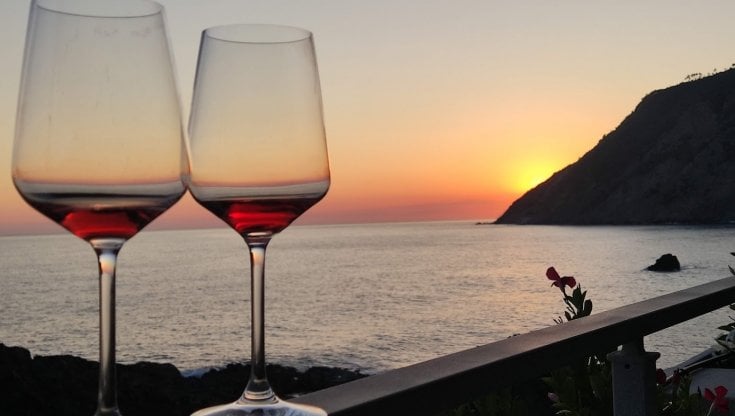 Radici, lentezza, tramonti, stupore: ecco i vini della settimana abbinati al menù