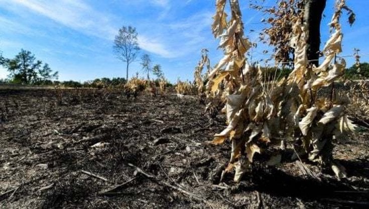Desertificazione, Hervé Barmasse "Garantire l'acqua è la sfida di tutti"