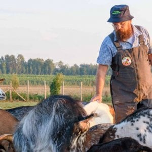 Il guru dei formaggi erborinati, e la sua fattoria-oasi circondata da allevamenti intensivi