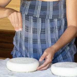 La carica di pastori, cuochi e casari: Bra centro del mondo dei formaggi