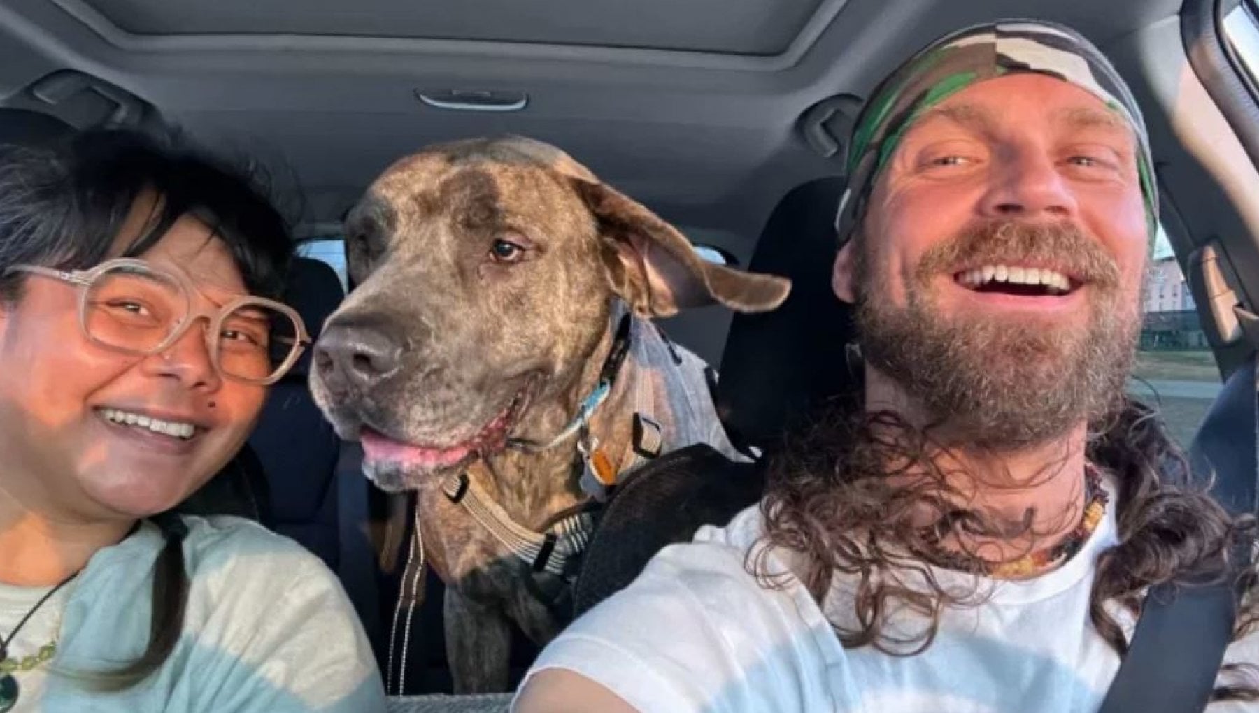 Adottato dopo oltre 400 giorni nel rifugio, il cane Moose non smette di ...