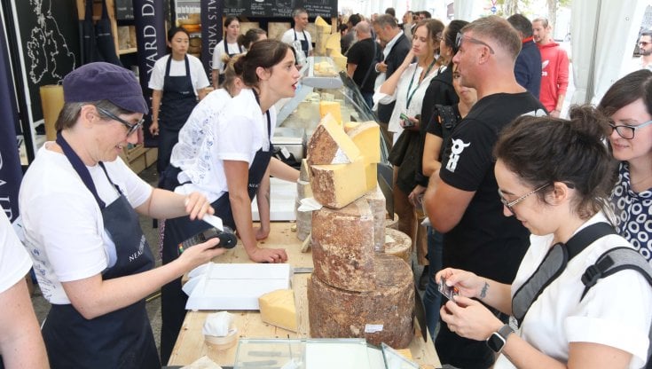 Cheese 2023 (@silviamuratore)