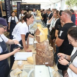Cheese, piccoli produttori travolti da burocrazia e green washing
