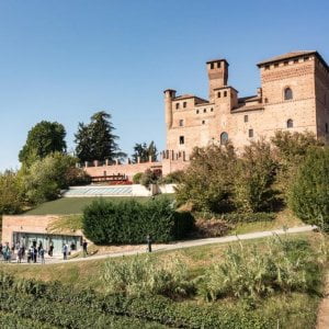 Barolo en primeur, l'asta solidale conquista anche Londra