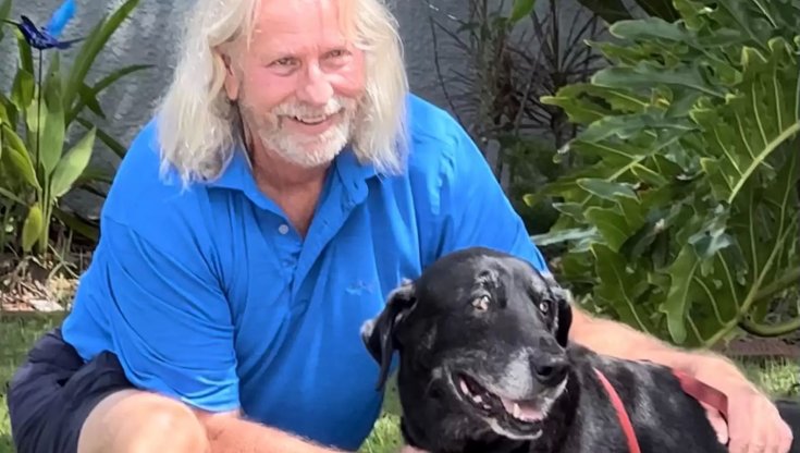 Bean, l'anziano cane timido che ha sempre vissuto in rifugio trova casa ...