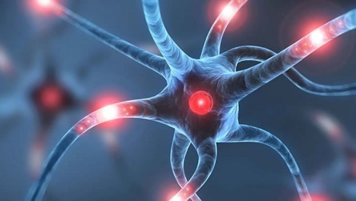 Sma, dallo screening neonatale le speranze delle nuove terapie