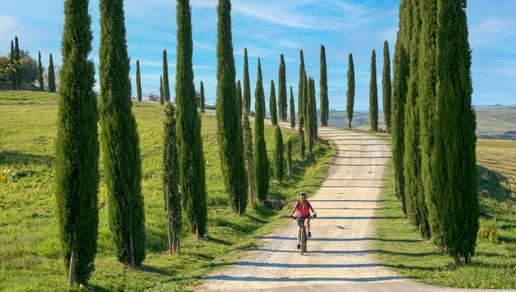 Il verde della Toscana (@Umomos_shutterstock)