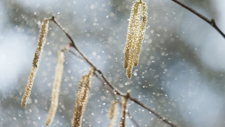 Allergie in aumento ma solo il 2% degli italiani si vaccina