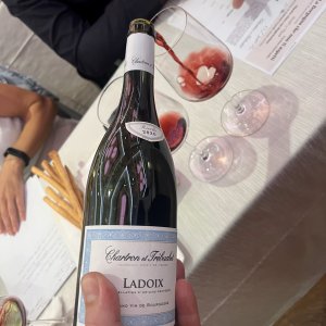 C'è anche una Borgogna a buon mercato: 14 vini unici dai 15 ai 45 euro 