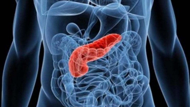 Tumore del pancreas, studio italiano fa luce sul meccanismo di crescita