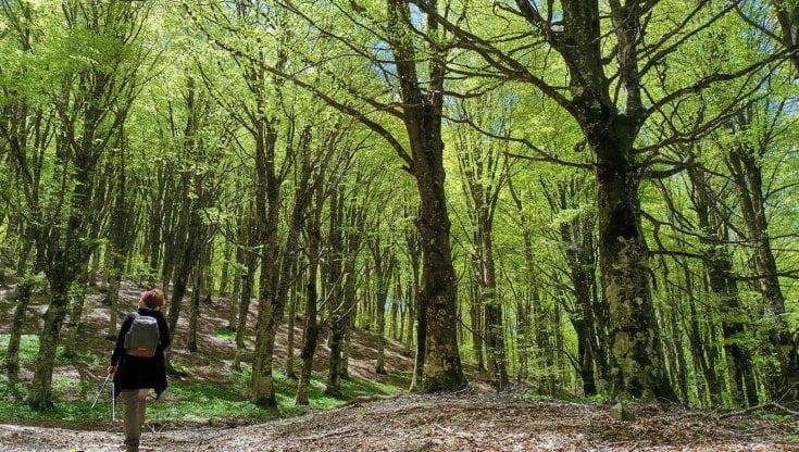 Passeggiata sui Nebrodi: il sapore dell’autunno in Sicilia 