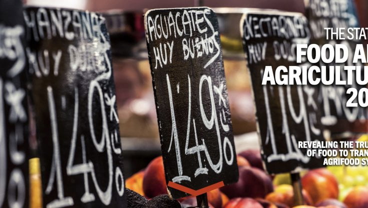 I costi sommersi (economici e sociali) dell'agricoltura: 10 mila miliardi all'anno
