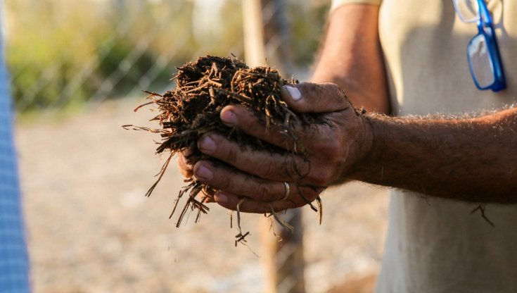 Giornata dell'agricoltura: l'intelligenza artificiale (con l'etica) salverà la terra