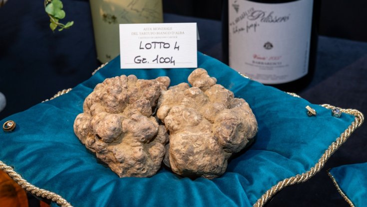 Il tartufo prescelto