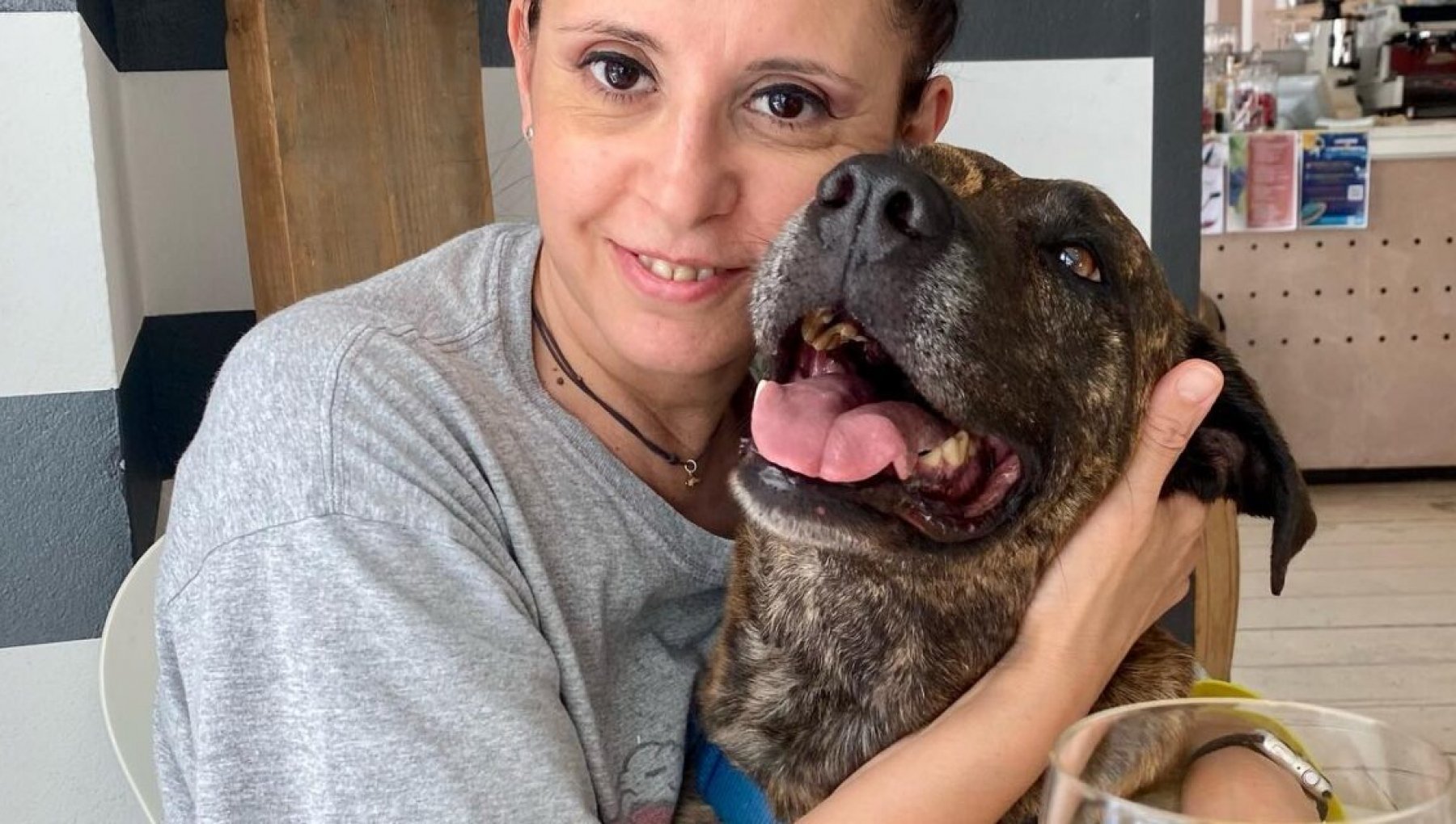 Mevis, il cane salvato dalla prigionia in una campagna siciliana ...