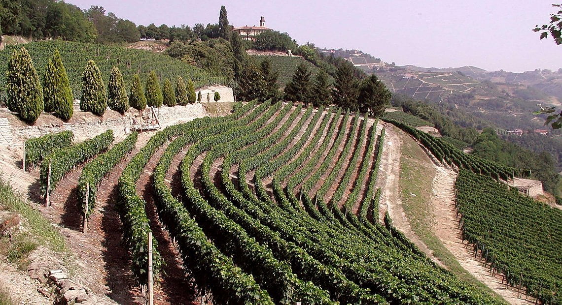 Le Langhe (ph. Murialdo)